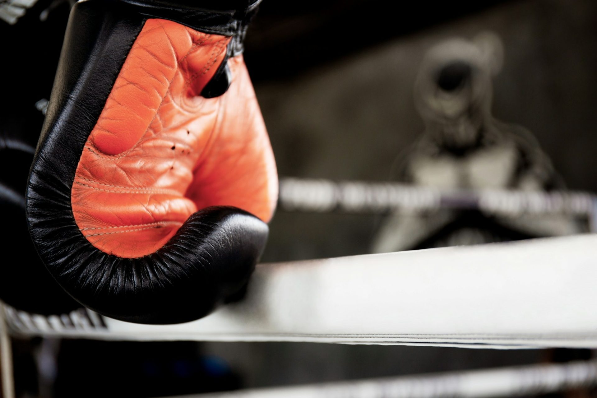Les 18 différentes catégories de Poids Boxe Anglaise Zefight