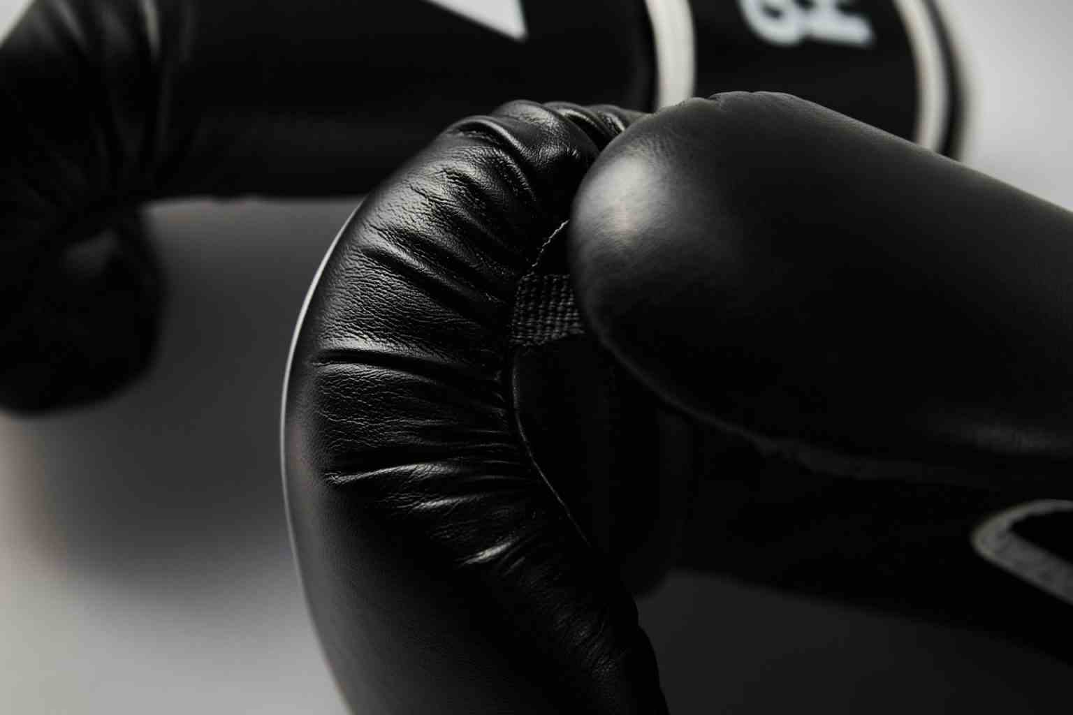Pair of black boxing gloves on white background, closeup