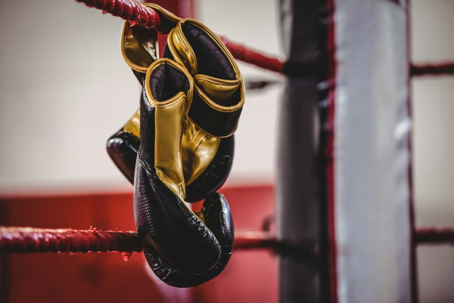 Les 18 différentes catégories de Poids Boxe Anglaise Yellow boxing gloves hanging off the boxing ring