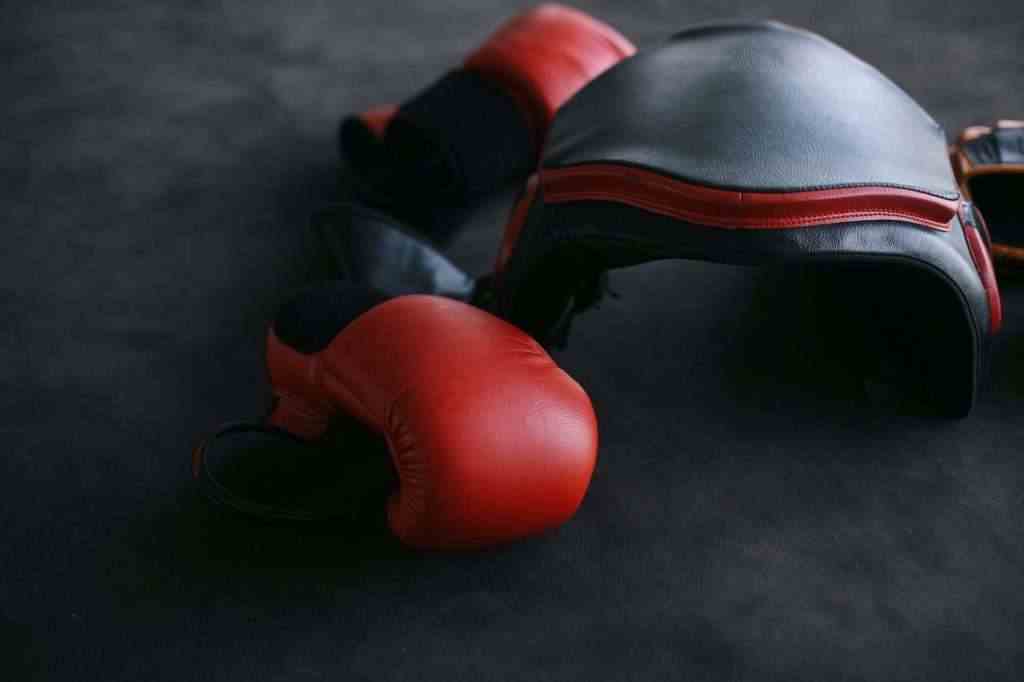 Boxing Gloves With Body Protector