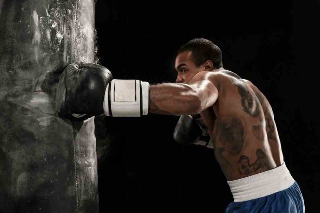Boxing training and punching bag
