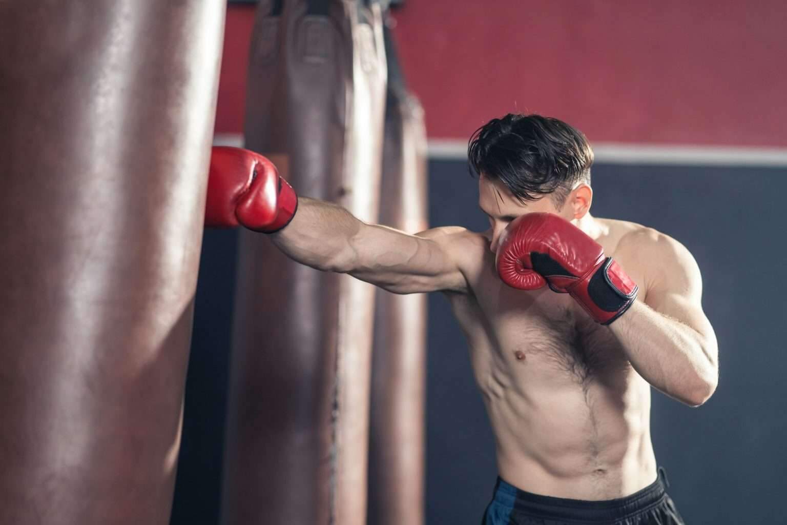 Devenir boxeur professionnel en France : le parcours complet Caucasian bodybuilder man shirtless athlete wear boxing gloves, doing boxing workout exercise