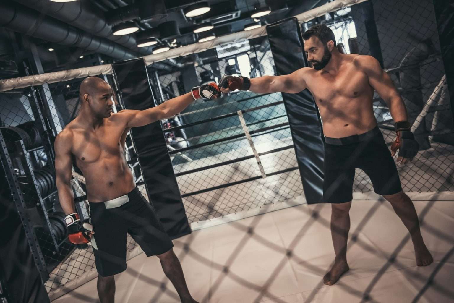 Résultats et moments forts des playoffs de la PFL Europe 2024 Wrestlers in the ring