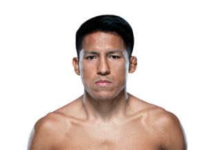 Enrique Barzola